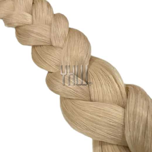 24A Champagnerblond Asch